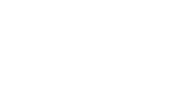 Web Summit Logo